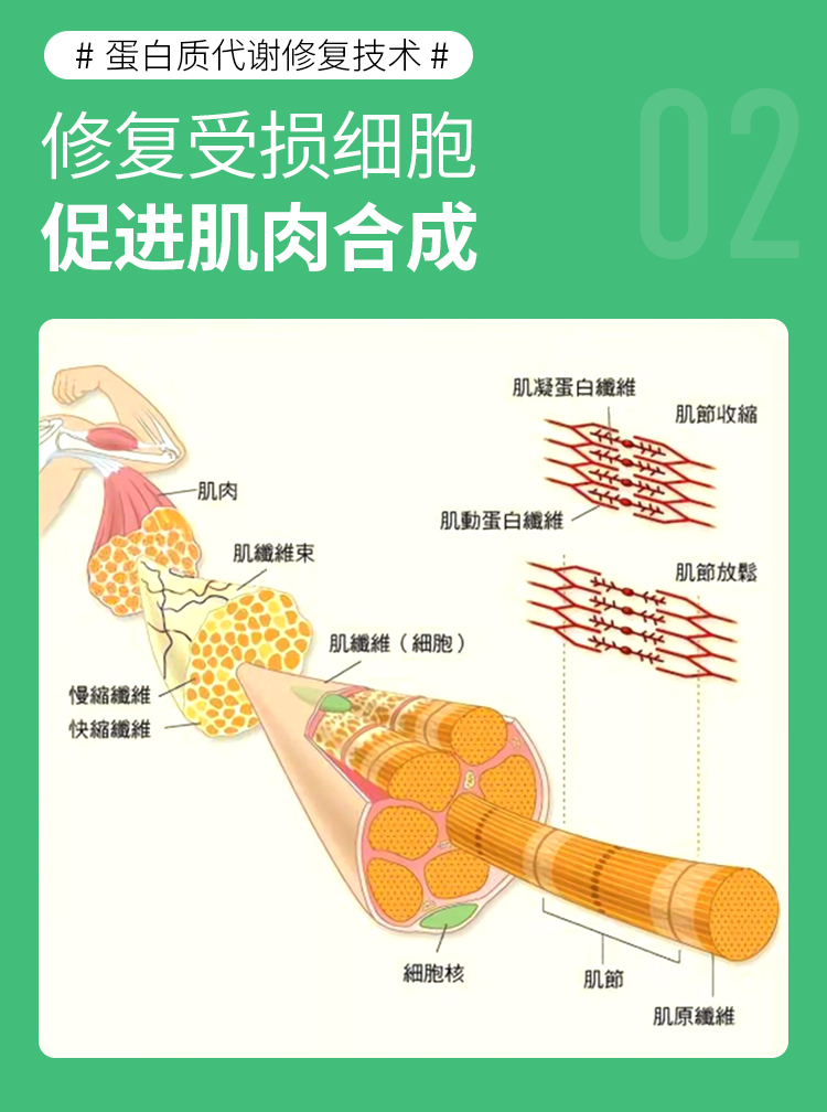 哈米森可以吃主食的科学减脂技术！